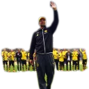 Sticker BorussiaDortmund - 9