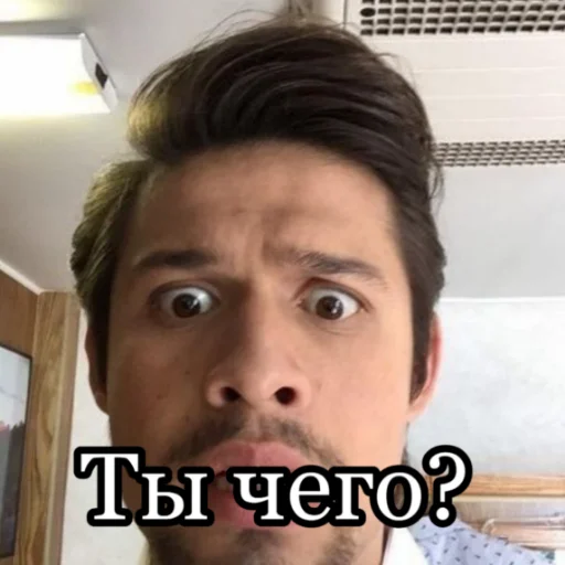 human face eyebrow selfie