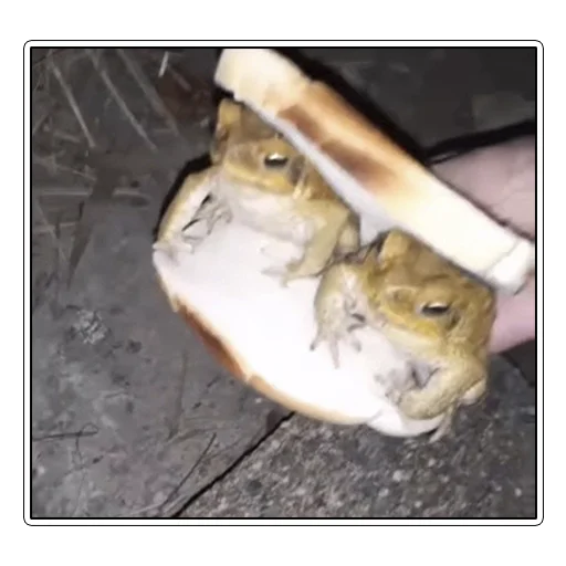 Sticker Dif_things - 1