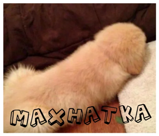 Sticker ДИЧЬ - 7