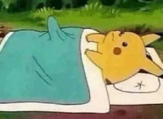 Sticker Дикачу - 11