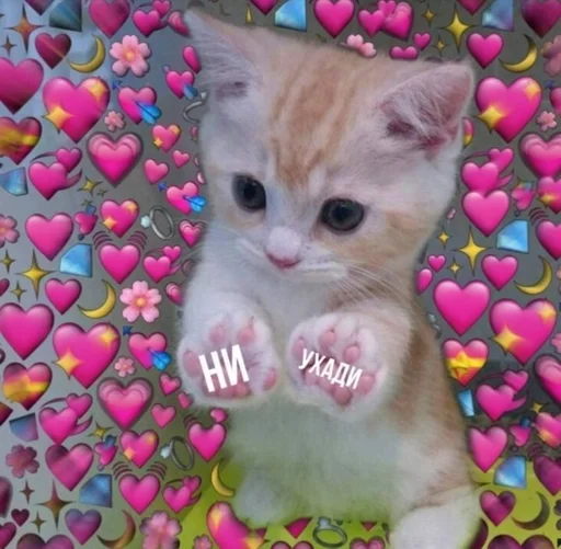 OtDileda :: @fStikBot - животное