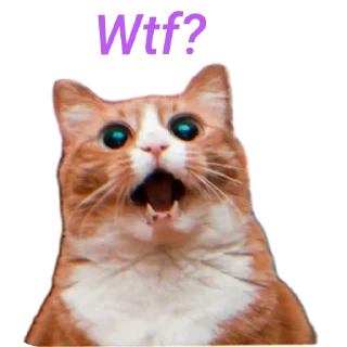 Sticker elgatto life by @infeelgreen - 3