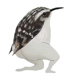 Sticker Стая Журавля - 5