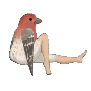 Sticker Стая Журавля - 3