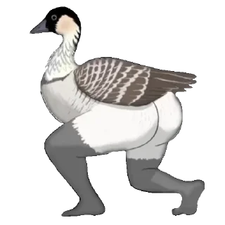 Sticker Стая Журавля - 7