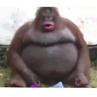 Стикер Пухлый черкашонок,  новая версия - 7