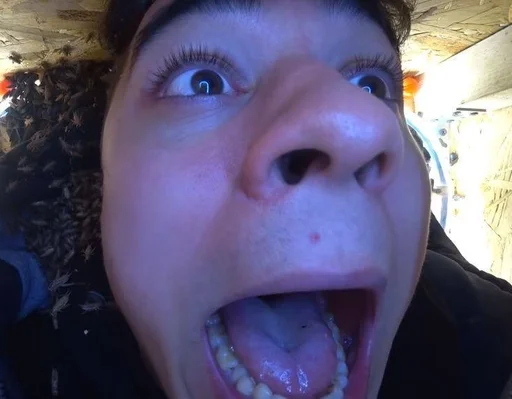 person tooth human face