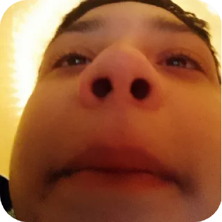 Sticker Динозавры - 8