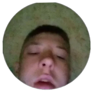 Sticker Динозавры - 7