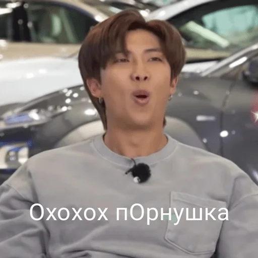 Человек наземный автомобиль транспортное средство