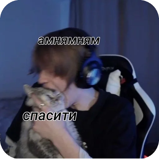 Sticker DippinsTop - 1