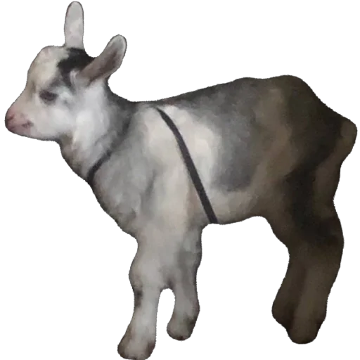 Стикер Dirty868 - 1