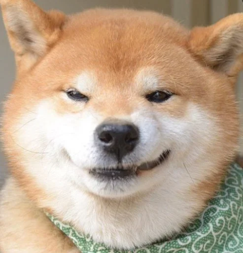 Sticker Disapprovingdog - 1