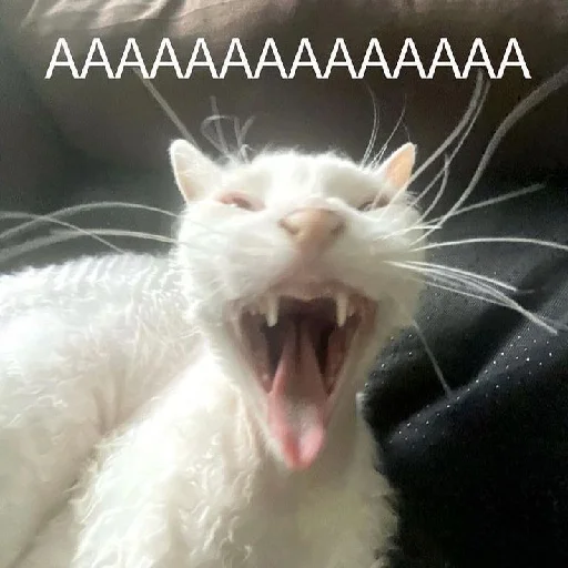 Sticker DiselmanCats - 1