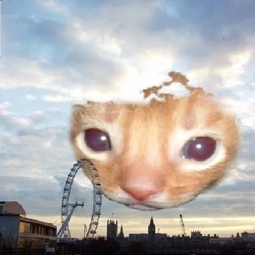 Sticker DiselmanCats - 1