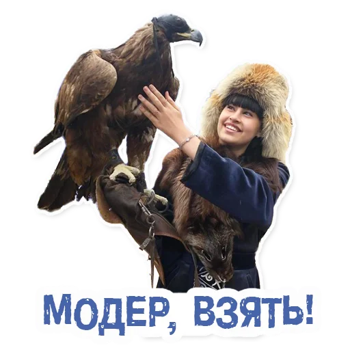 Sticker Diva_Sticker_Pack - 1