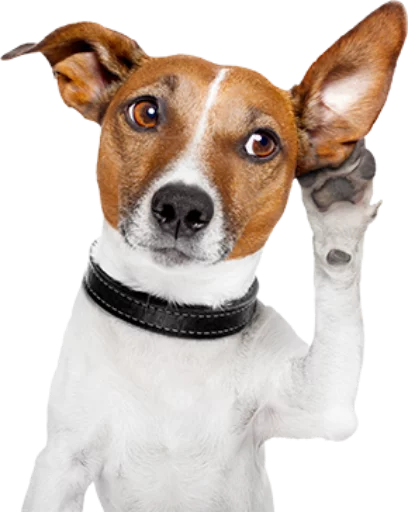 Sticker DiversosStickers - 1