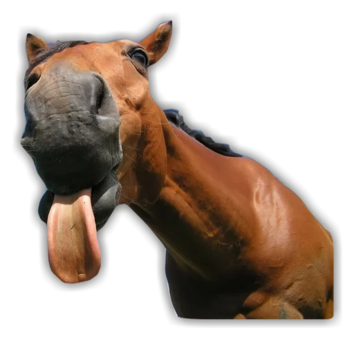 Sticker DiversosStickers - 1