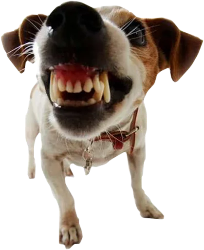 Sticker DiversosStickers - 1