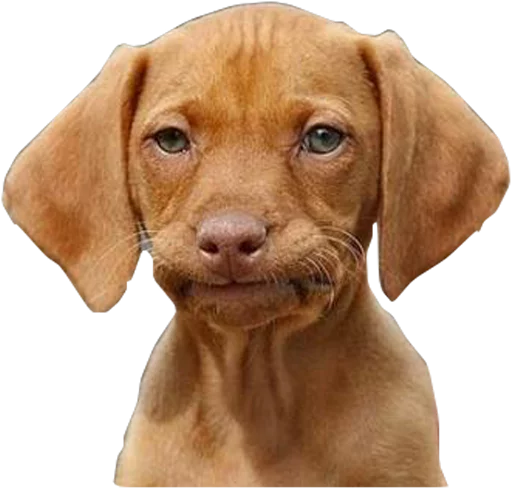 Стикер DiversosStickers - 1