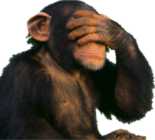 Sticker DiversosStickers - 1