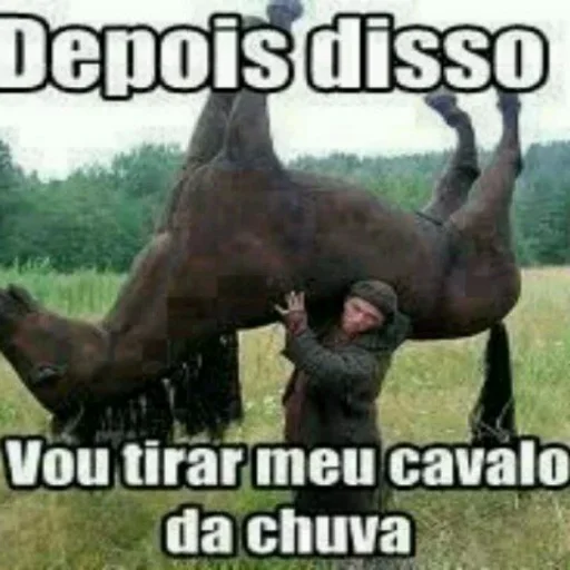Diversos do caçador - 