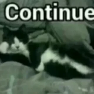 Sticker Diversos do caçador - 6