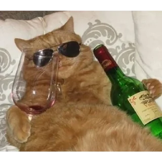 Sticker Свой стикер с аниме и котами - 2