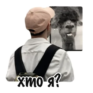 Sticker DIVO - Big Rakhmet - 4