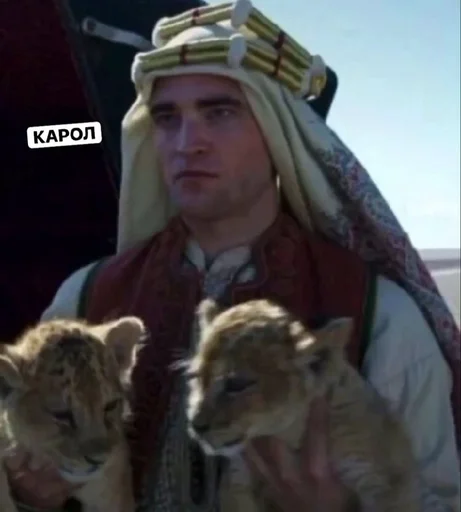 лев большая кошка млекопитающее