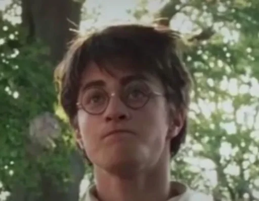 Человек дерево человеческое лицо