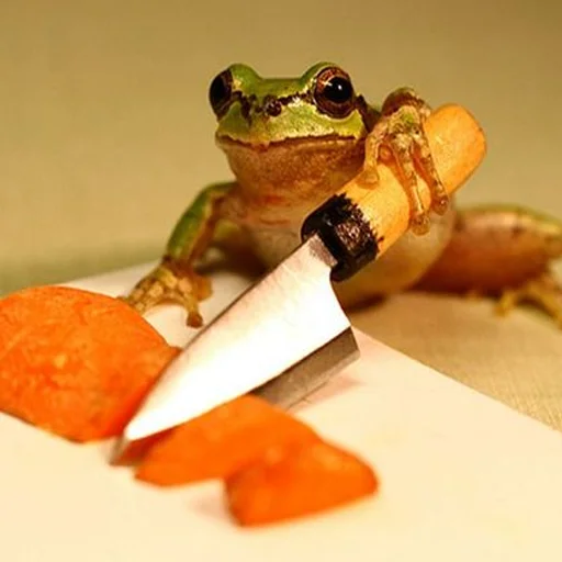 frog amphibian knife