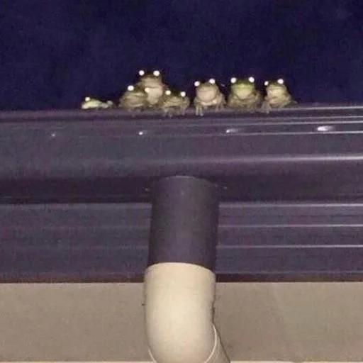 screenshot light art