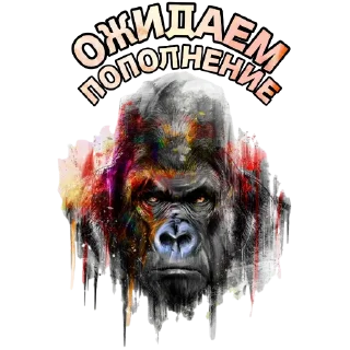 Стикер DJAMBULRC SHOP - 4