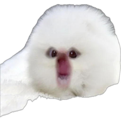 Sticker Djdhdhjdhd - 1