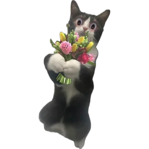 Sticker Djdhdhjdhd - 1