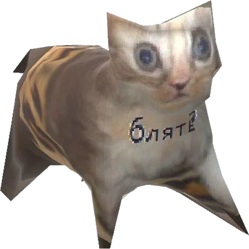 domestic cat animal small to medium-sized cats