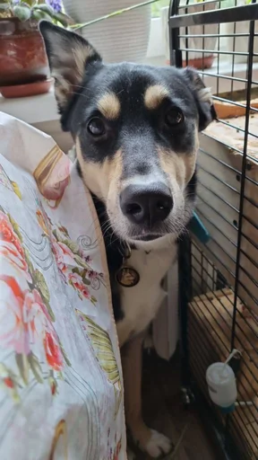 Sticker Olegarmhui - 3