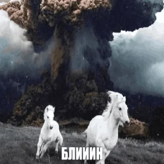Стикер Зъз (@podvallisogo) - 3