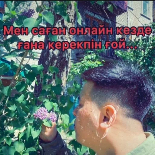 human face person flower