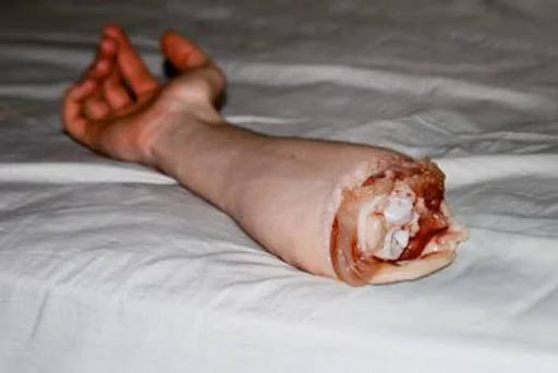 Человек комнатный плоть