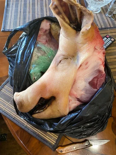 собака комнатный животное