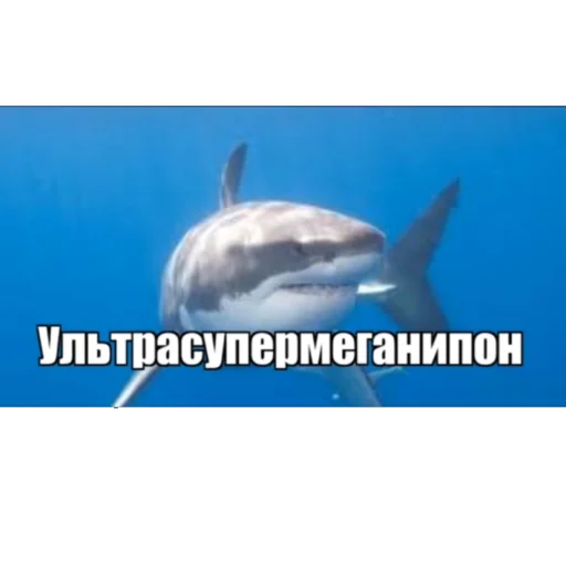 Sticker Тимощукпон - 5