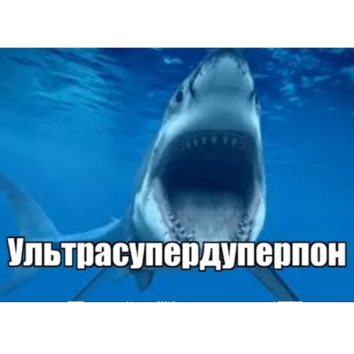 Sticker Тимощукпон - 4