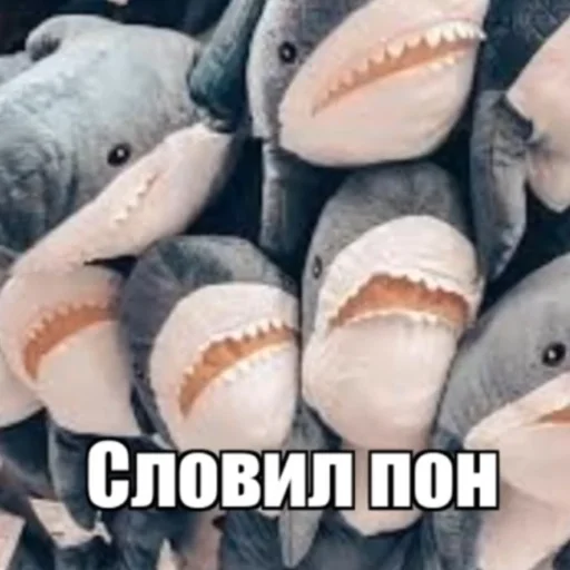 Sticker Тимощукпон - 3