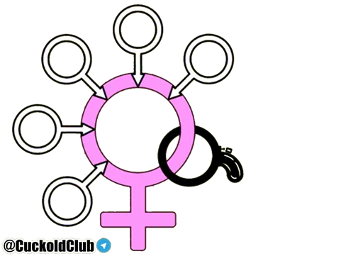 circle graphics screenshot