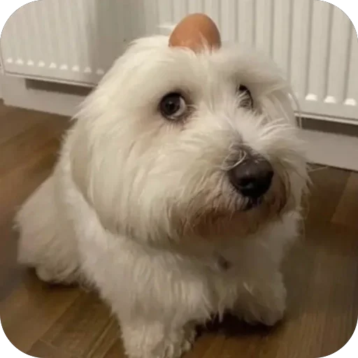 Для горячих 🔥 - 