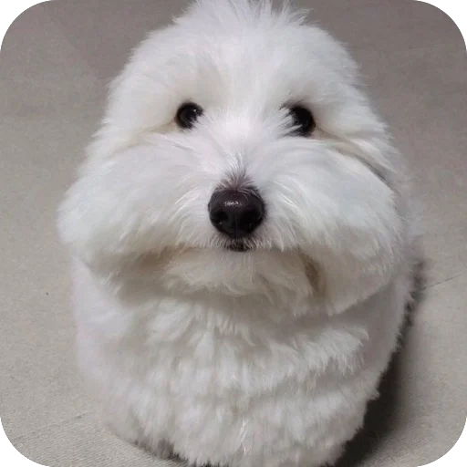 Стикер DlyaGoryachih - 1