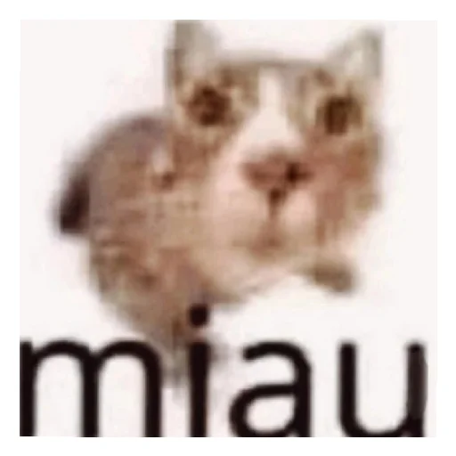 Стикер Для гулей🤡🤡🤡 - 4